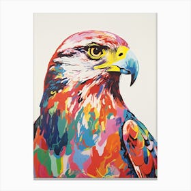 Colourful Bird Painting Falcon 3 Canvas Print