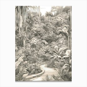 Way Through The Jungle Canvas Print