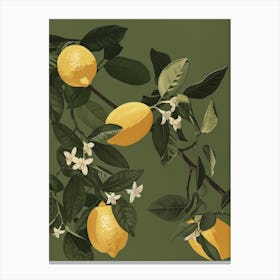 Lemons On A Branch 11 Canvas Print