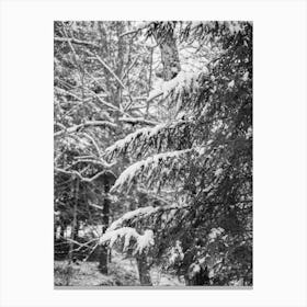 Upstate New York Snow X on Film Canvas Print