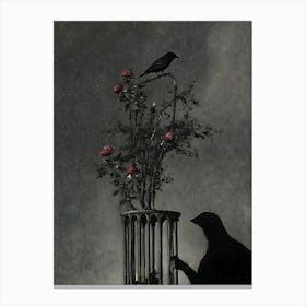 Bird In A Cage 1 Canvas Print