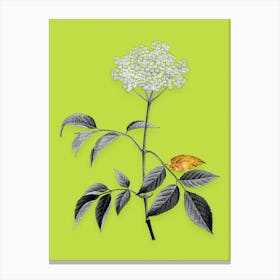 Vintage Elderflower Tree Black and White Gold Leaf Floral Art on Chartreuse Canvas Print
