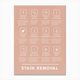 Stain Removal Guide Boho Pink  Canvas Print