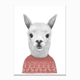 Llama In A Sweater Canvas Print