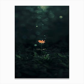 Flower In The Dark 100 Canvas Print