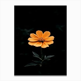 Orange Flower 12 Canvas Print