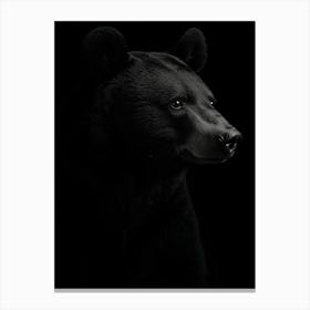 Bear Portrait Canvas Print