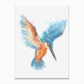Kingfisher in hover Canvas Print