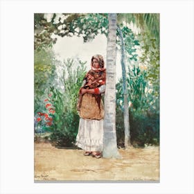 Under A Palm Tree (1886), Winslow Homer Canvas Print