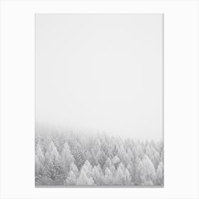 White Winter Forest Canvas Print
