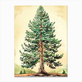 Douglas Fir Tree Storybook Illustration 2 Canvas Print