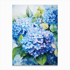 Blue Hydrangeas 13 Canvas Print