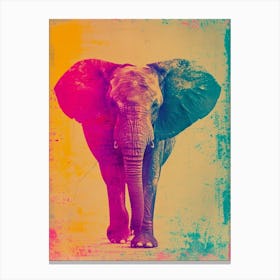 Elephant Polaroid Inspired 3 Canvas Print