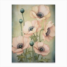 Poppies 16 Canvas Print
