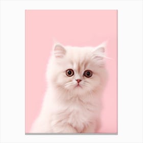 Kitty 4 Canvas Print