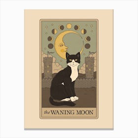 The Waning Moon   Cats Tarot Canvas Print