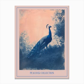 Peacock In The Wild Blue Cyanotype 1 Poster Canvas Print