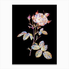 Stained Glass White Provence Rose Mosaic Botanical Illustration on Black n.0199 Canvas Print