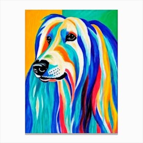 Afghan Hound 3 Fauvist Style dog Canvas Print