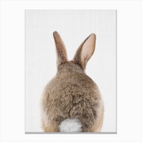 Peekaboo Bunny Tail Canvas Print