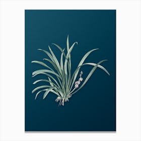 Vintage Sansevieria Carnea Botanical Art on Teal Blue n.0619 Canvas Print