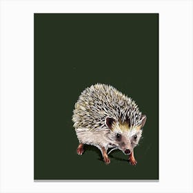 Kimchi The Hedgehog On Forest Green Canvas Print
