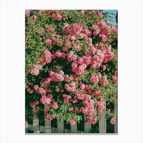 Cannon Beach Blooms on Film Canvas Print