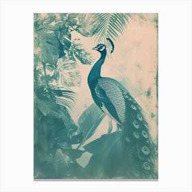 Vintage Peacock With Tropical Leaves Cyanotype Inspired 1 Canvas Print