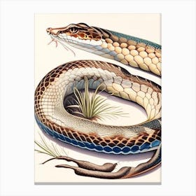 Diamondback Water Snake 1 Vintage Canvas Print