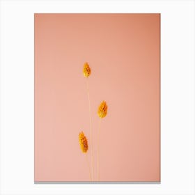 Orange And Coral Botanical Canvas Print