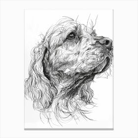 Clumber Spaniel Dog Line Sketch 2 Canvas Print