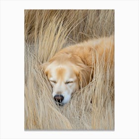 Golden Retriever Sleeping In The Grass.Generated AI. Art Print Canvas Print