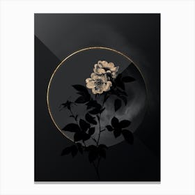 Shadowy Vintage White Anjou Roses Botanical in Black and Gold n.0072 Canvas Print