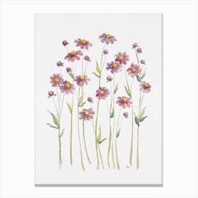 Pink Button Daisies Canvas Print