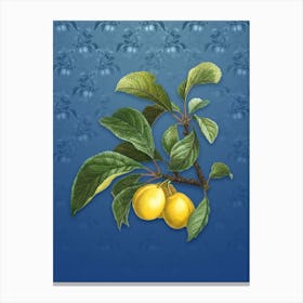 Vintage Ripe Plums on a Botanical on Bahama Blue Pattern Canvas Print