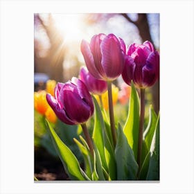 Tulips In The Garden 1 Canvas Print