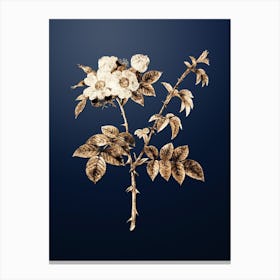Gold Botanical White Flowered Rose on Midnight Navy Canvas Print