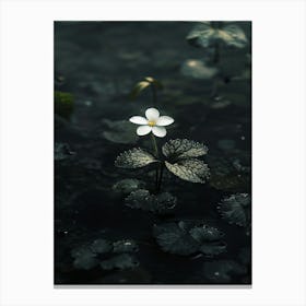 Single Flower In Water 8 Canvas Print