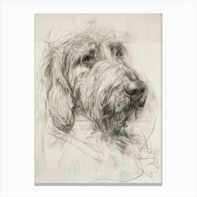 Grand Basset Griffon Vendeen Dog Charcoal Line 2 Canvas Print