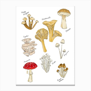 Mushroom Party Brown & Red Canvas Print