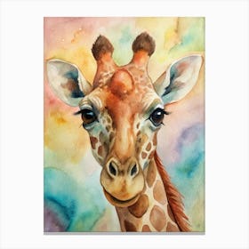 Giraffe Canvas Print