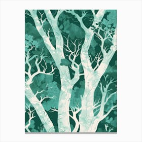 Birch Trees 4 Canvas Print