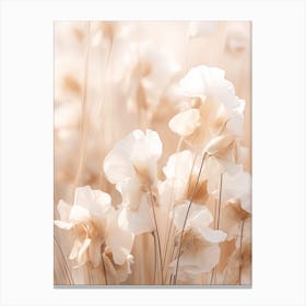 Boho Dried Flowers Sweet Pea 1 Canvas Print