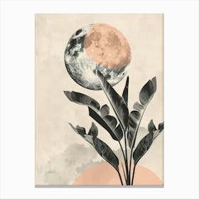 Moon And Plant Canvas Print