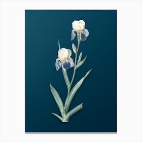 Vintage Elder Scented Iris Botanical Art on Teal Blue Canvas Print