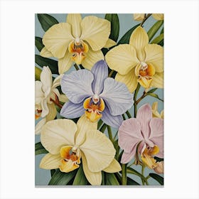 Pastel Orchids no2 Canvas Print