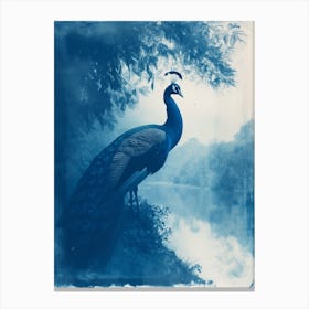 Peacock By The River Cyanotype Inspired 2 Canvas Print