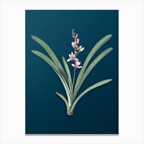 Vintage Boat Orchid Botanical Art on Teal Blue n.0137 Canvas Print