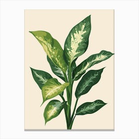 Dieffenbachia Plant Minimalist Illustration 2 Canvas Print