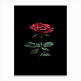 Rose On A Black Background 24 Canvas Print